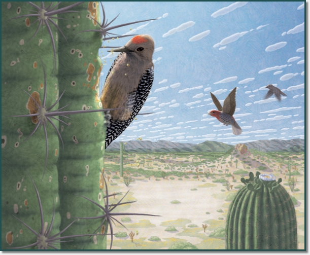 Woodpecker sitting on cactus.