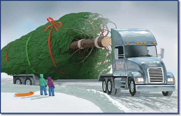 Big semi truck hauling large christmas tree.